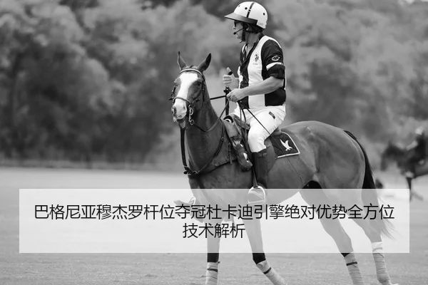 巴格尼亚穆杰罗杆位夺冠杜卡迪引擎绝对优势全方位技术解析 - yaxin